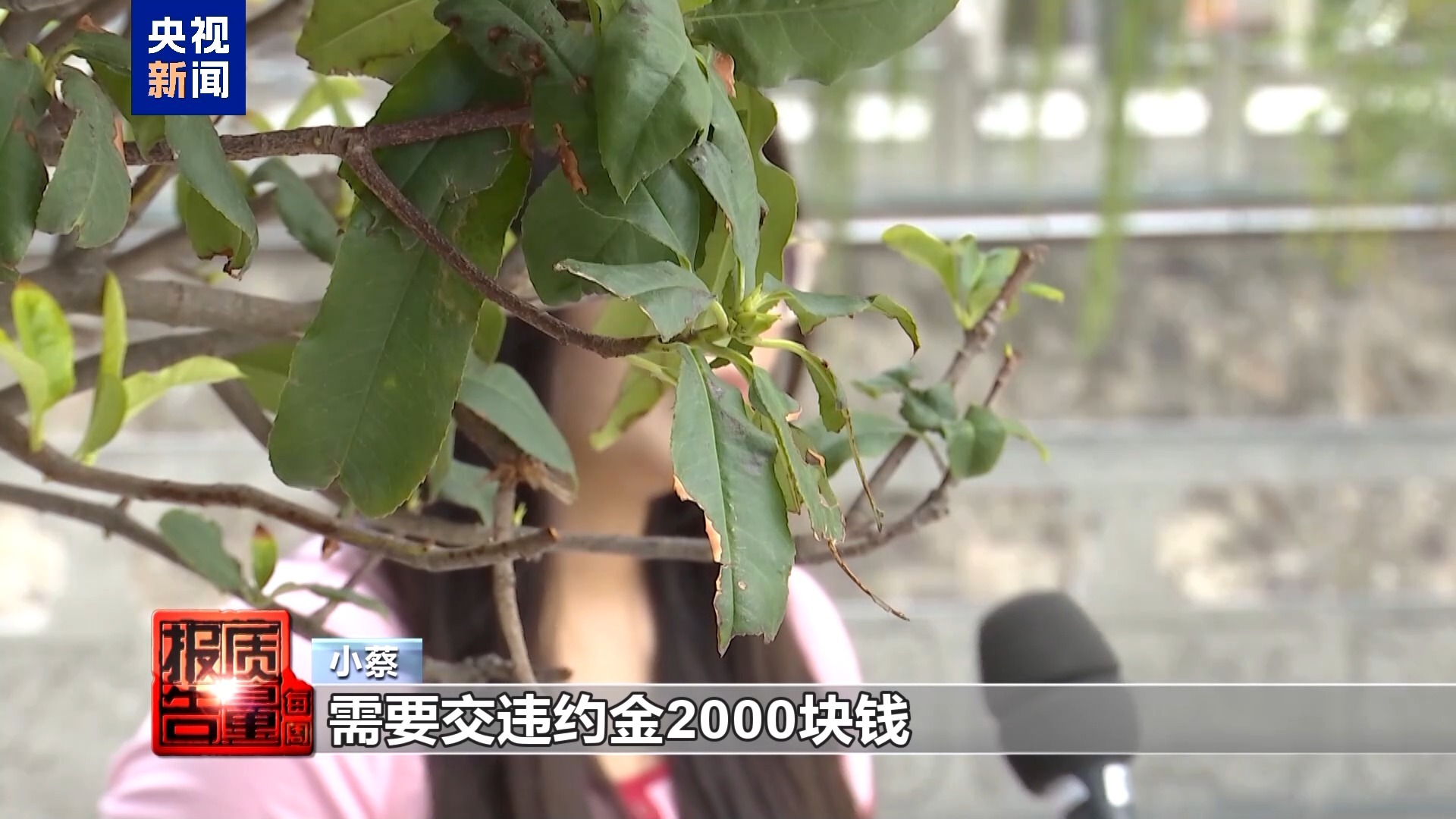 每周质量报告丨高薪兼职是假、骗人贷款是真 起底“免费培训”背后套路