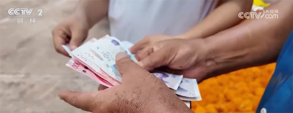“科技+”为农业现代化插上腾飞的翅膀 良种良机良法绘就金秋好“丰”景