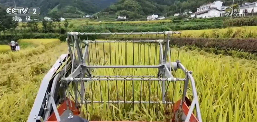 “科技+”为农业现代化插上腾飞的翅膀 良种良机良法绘就金秋好“丰”景