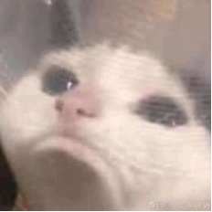 谁懂点开宿舍名单一串自己名字的感觉……网友：“从此痛失本名”