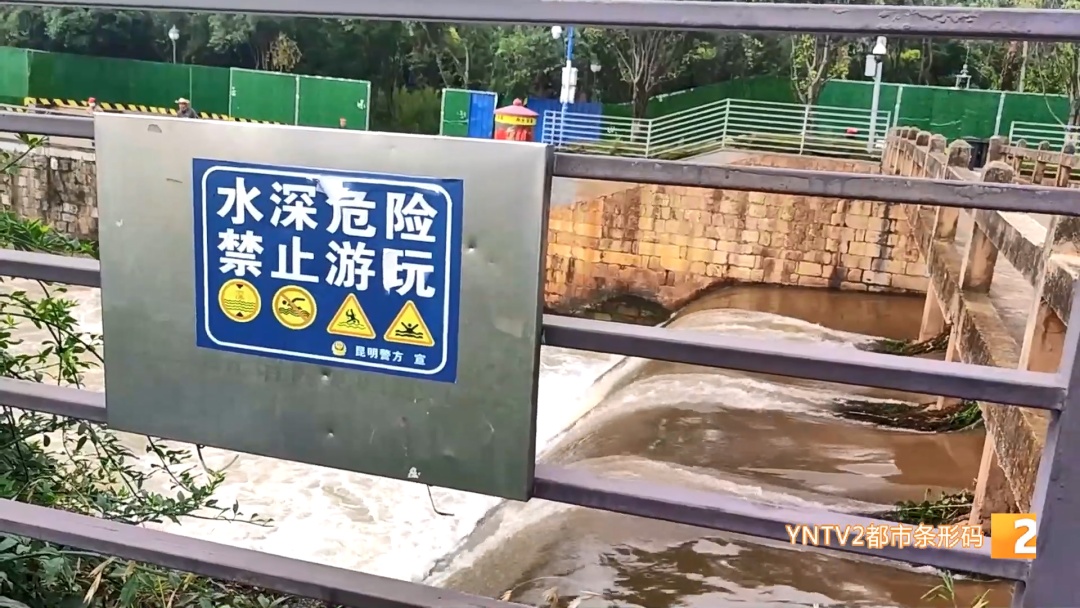 后空翻、反手、背跃！盘龙江野泳族花式跳水……