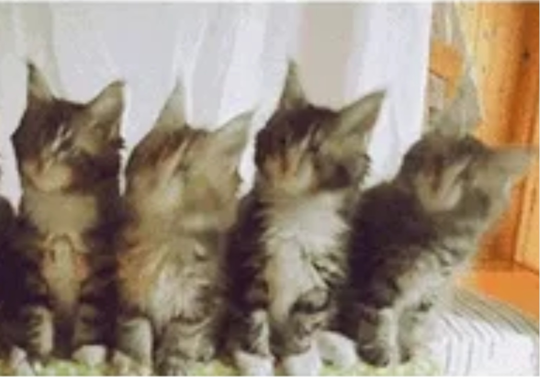 谁懂点开宿舍名单一串自己名字的感觉……网友：“从此痛失本名”