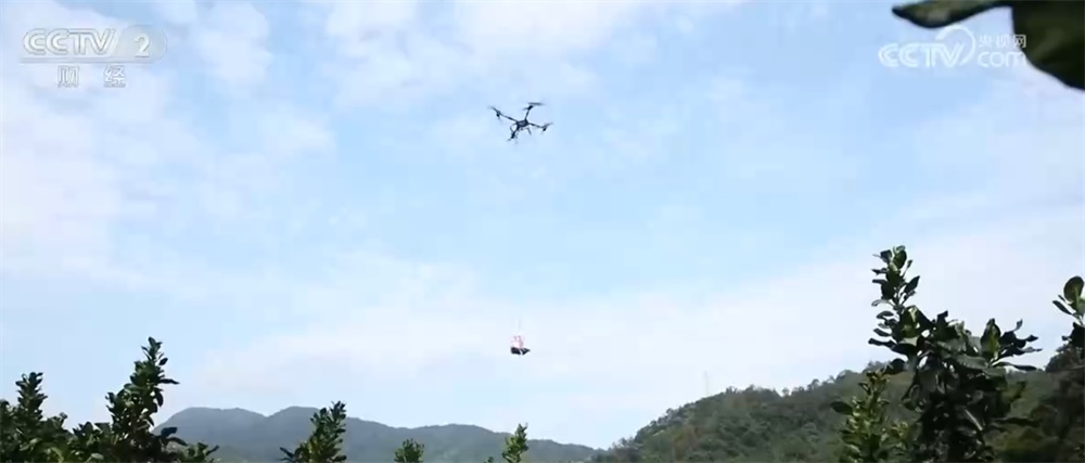 “科技+”为农业现代化插上腾飞的翅膀 良种良机良法绘就金秋好“丰”景