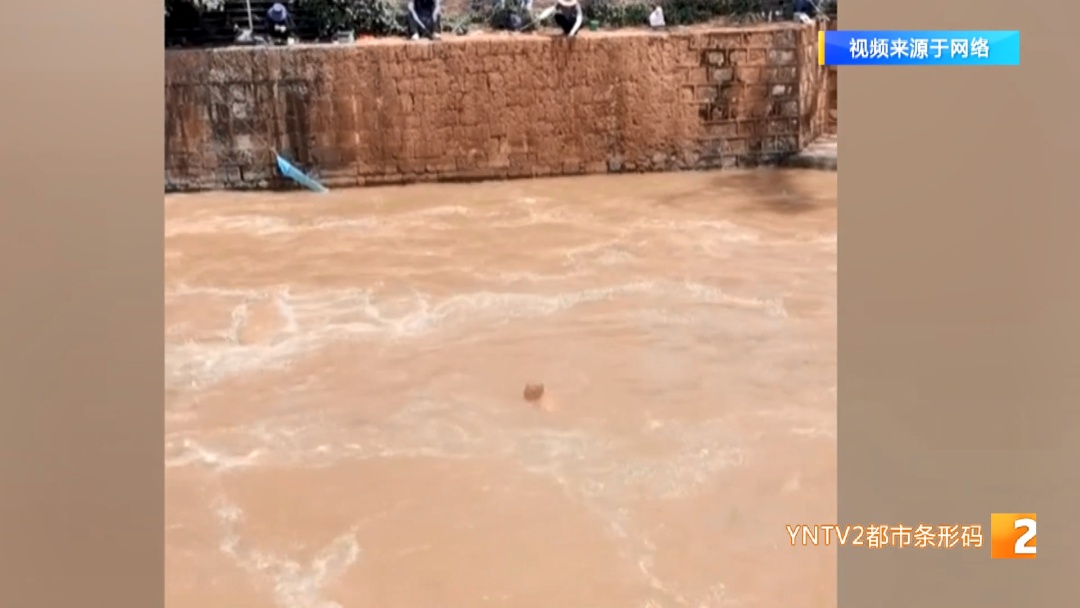 后空翻、反手、背跃！盘龙江野泳族花式跳水……