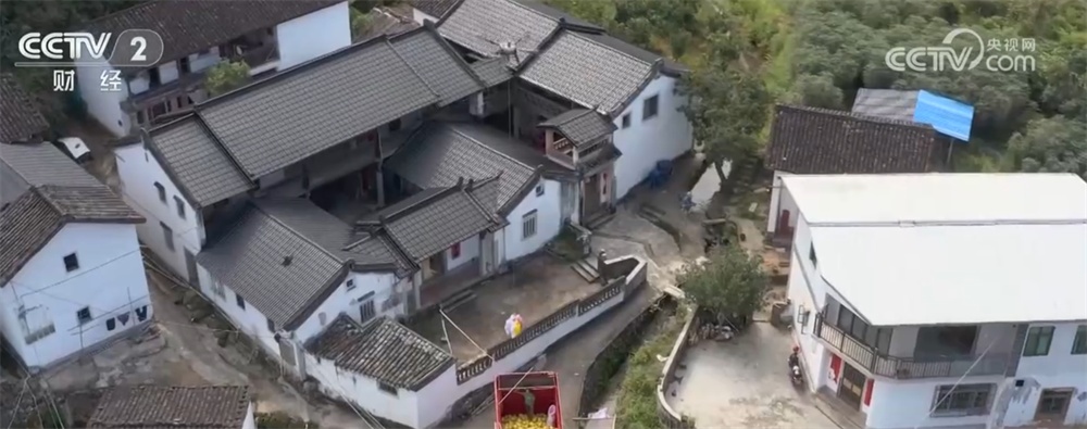 “科技+”为农业现代化插上腾飞的翅膀 良种良机良法绘就金秋好“丰”景