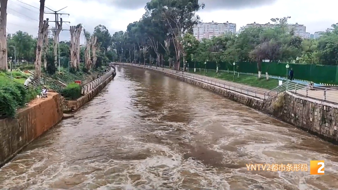 后空翻、反手、背跃！盘龙江野泳族花式跳水……