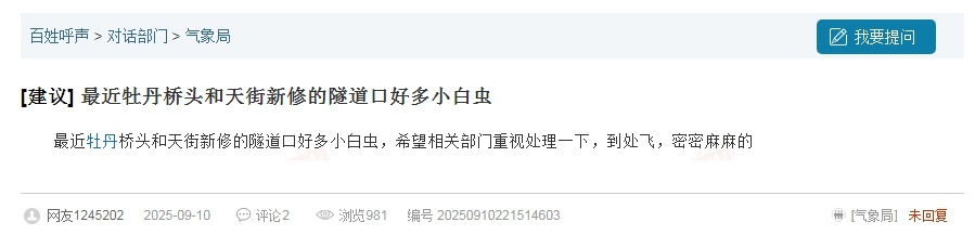 密密麻麻！洛阳有“小白虫”出没！究竟为啥？