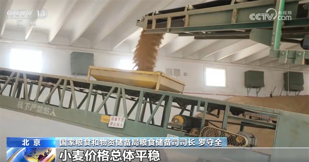 小麦收购市场“新”气象让群众卖“明白粮、放心粮” 节日市场货足价稳有保障