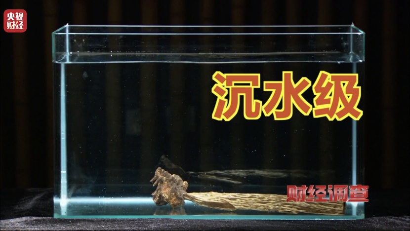 有商家用注油白木冒充沉香,东南地区最大沉香市场有卖假货!央视调查→ 有商家用注油白木冒充沉香,东南地区最大沉香市场有卖假货!央视调查→