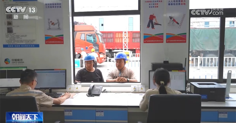 小麦收购市场“新”气象让群众卖“明白粮、放心粮” 节日市场货足价稳有保障