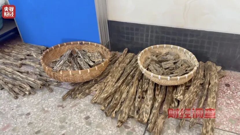 造假！曝光！知名沉香市场有商户挂羊头卖狗肉！