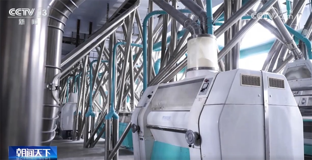 小麦收购市场“新”气象让群众卖“明白粮、放心粮” 节日市场货足价稳有保障