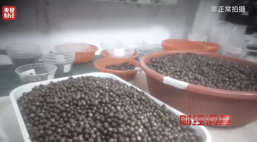 有商家用注油白木冒充沉香,东南地区最大沉香市场有卖假货!央视调查→ 有商家用注油白木冒充沉香,东南地区最大沉香市场有卖假货!央视调查→