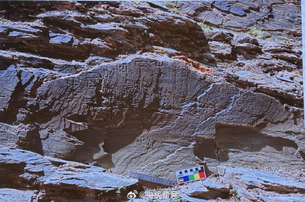 转发新发现！我国发现原址且海拔最高秦代刻石