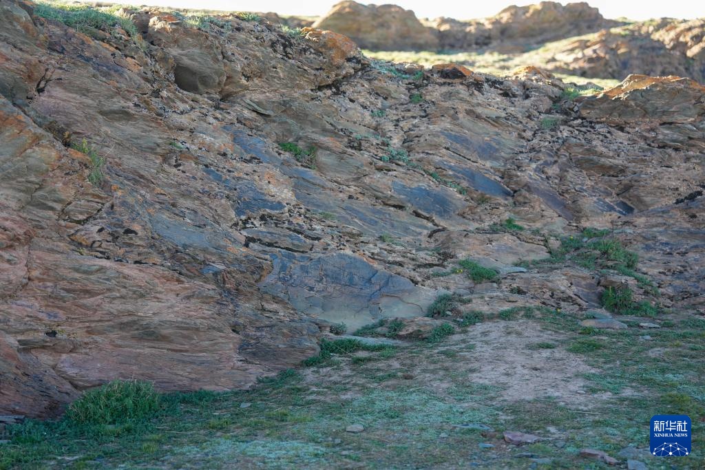 青海发现秦代石刻 定名“尕日塘秦刻石” 青海发现秦代石刻 定名“尕日塘秦刻石”