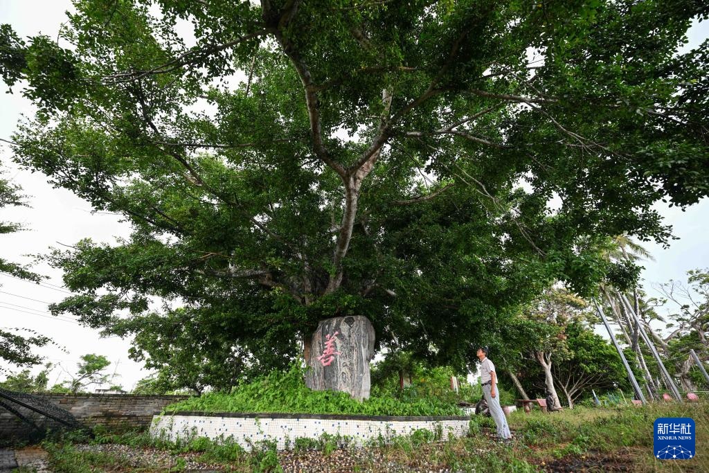 海南加美村：贤士故里 诗意栖居