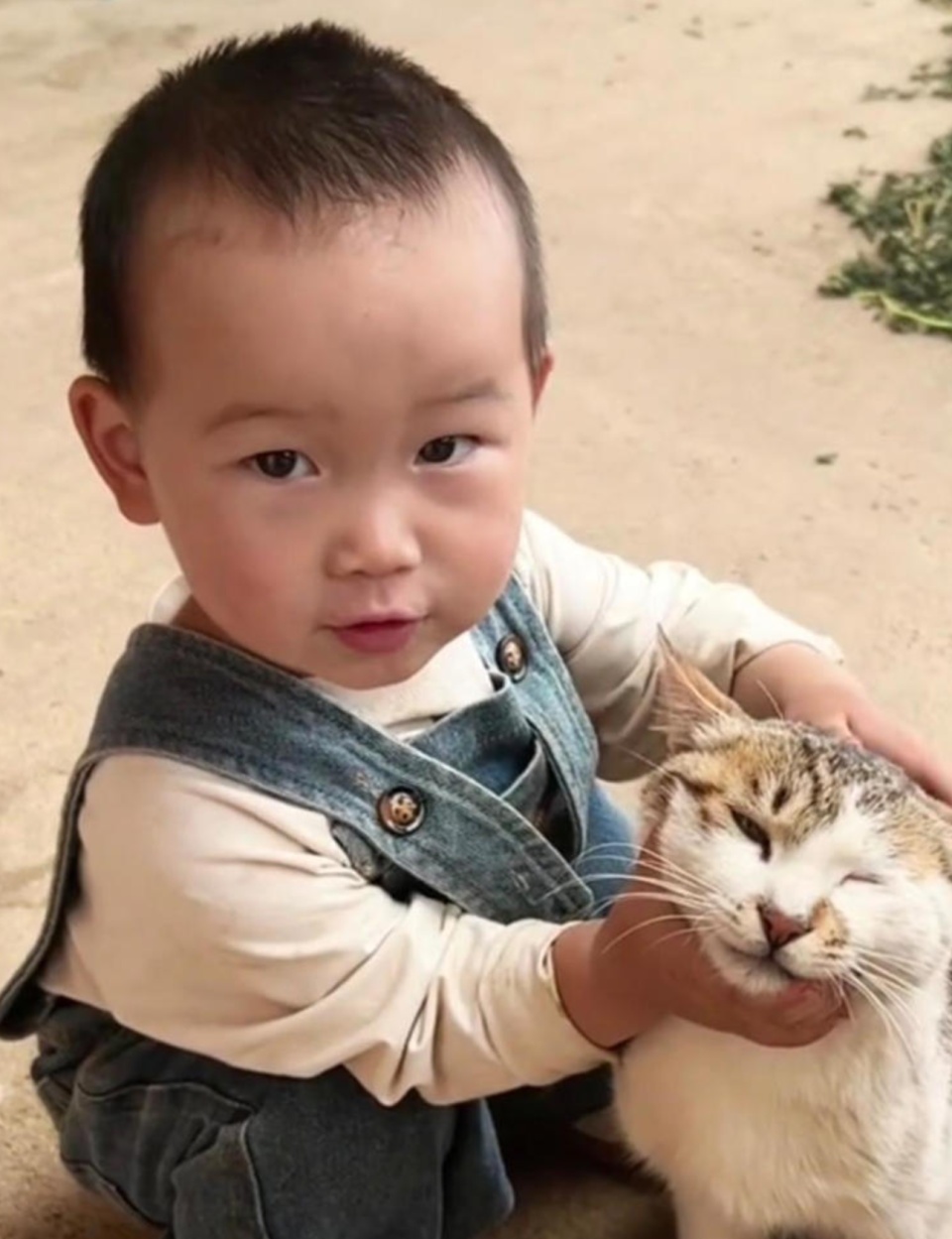 四川2岁女童失联已超11天,父亲:方圆近10公里已地毯式搜寻,连衣物都没找到 四川2岁女童失联已超11天,父亲:方圆近10公里已地毯式搜寻,连衣物都没找到