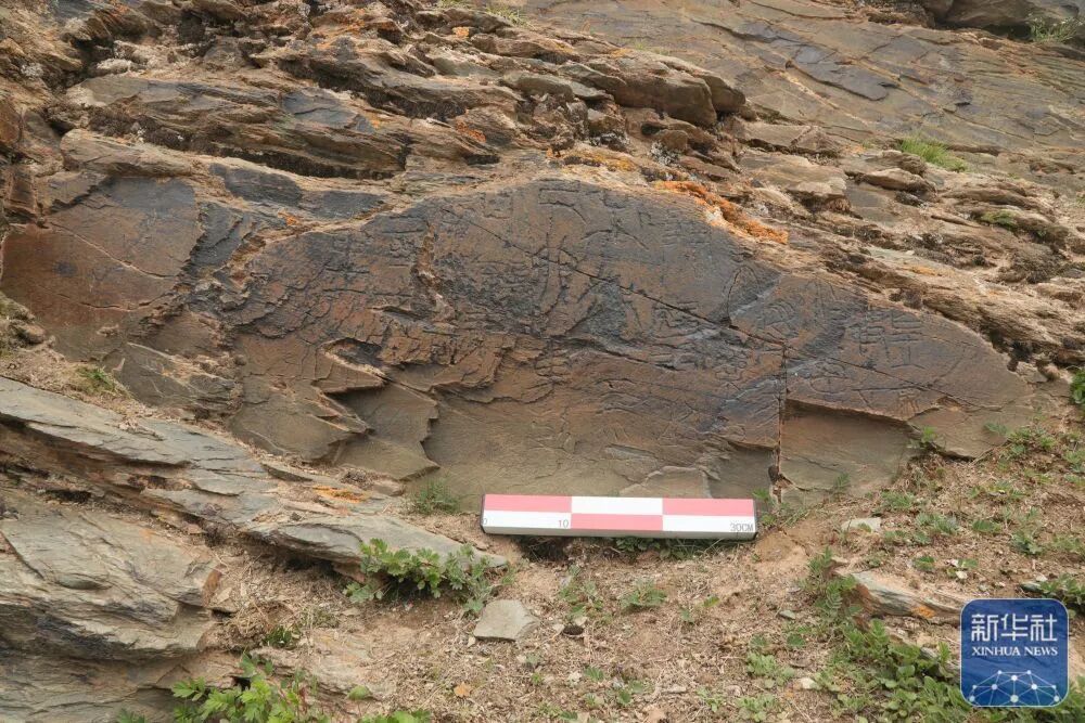 青海秦代石刻，确认了！（附照片）