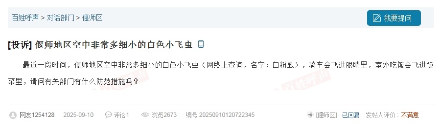 密密麻麻！洛阳有“小白虫”出没！究竟为啥？