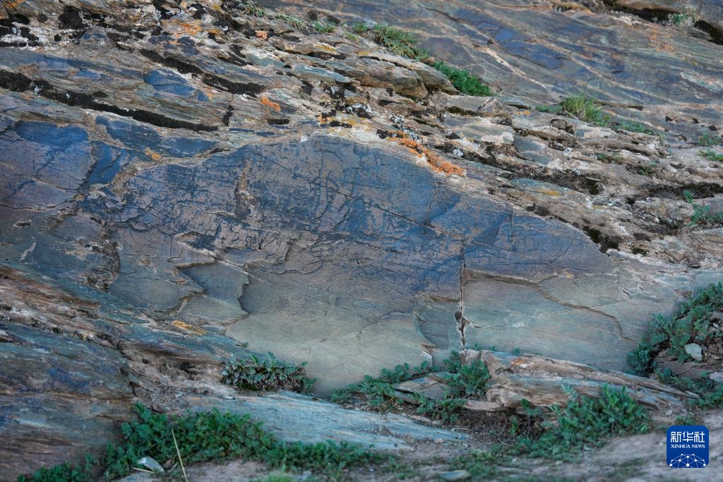 青海发现秦代石刻 定名“尕日塘秦刻石” 青海发现秦代石刻 定名“尕日塘秦刻石”