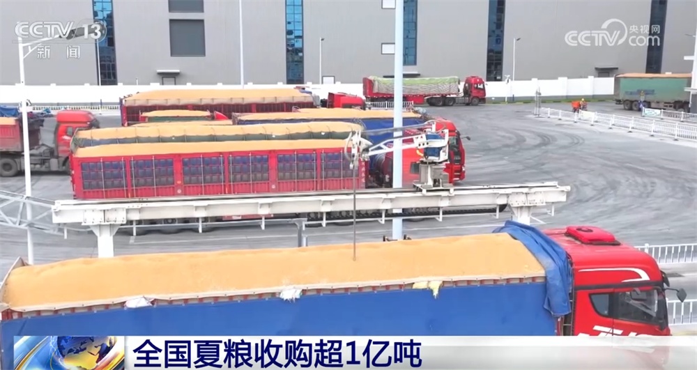 小麦收购市场“新”气象让群众卖“明白粮、放心粮” 节日市场货足价稳有保障