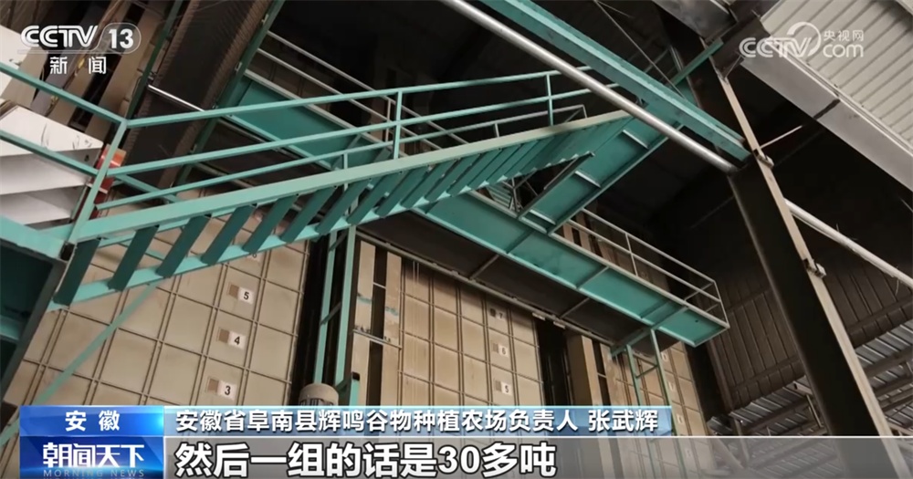 小麦收购市场“新”气象让群众卖“明白粮、放心粮” 节日市场货足价稳有保障