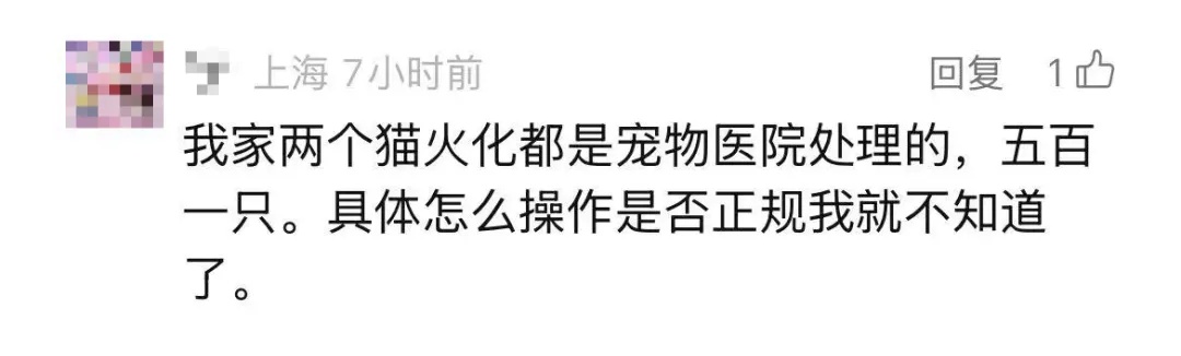 火化车开进小区？遗体告别、骨灰寄存…这种需求在上海激增，从业者直言→