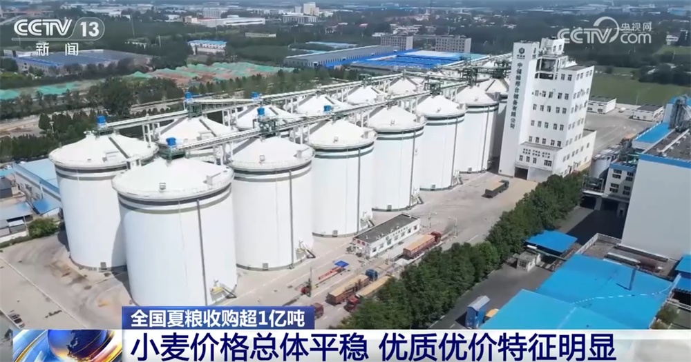 小麦收购市场“新”气象让群众卖“明白粮、放心粮” 节日市场货足价稳有保障