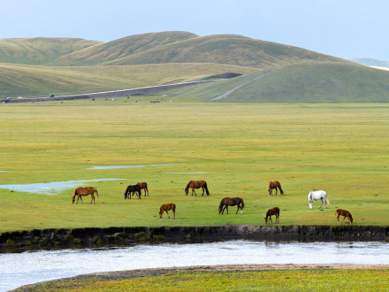收藏！初秋草原养眼壁纸上新