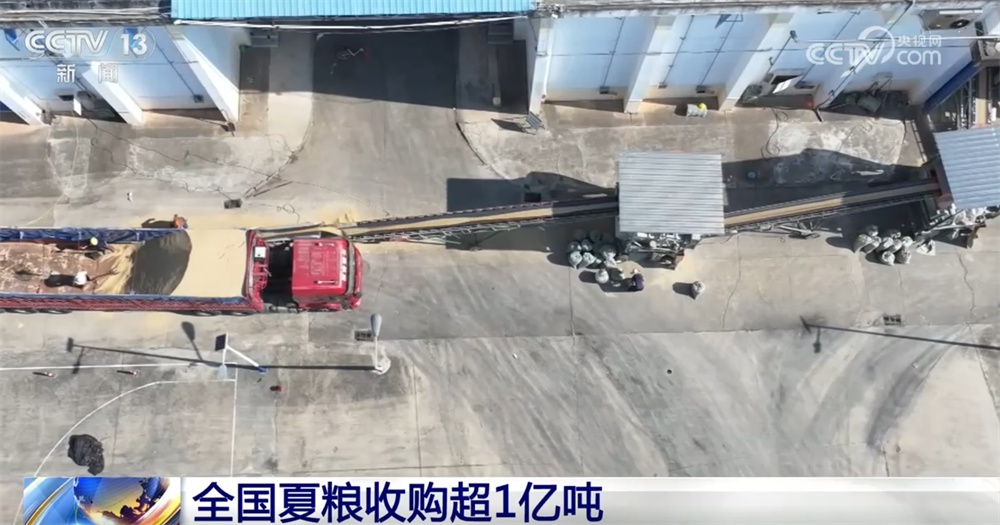 小麦收购市场“新”气象让群众卖“明白粮、放心粮” 节日市场货足价稳有保障