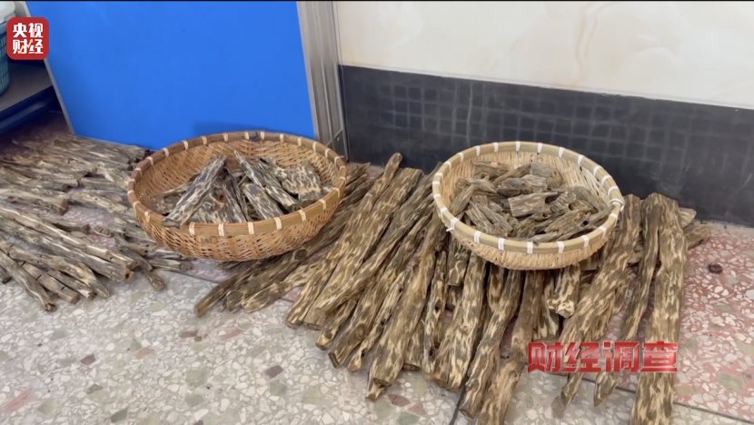 以次充好、直接造假！假沉香也能拿证书！总台《财经调查》曝光沉香市场乱象→
