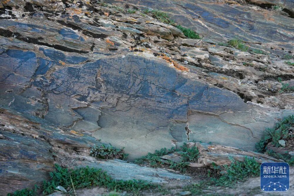 青海秦代石刻，确认了！（附照片）