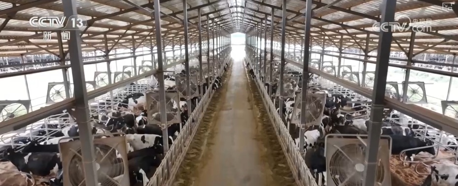 19.4亿亩、1.75亿吨、7358万吨……“数”说百姓吃得更好、更健康 19.4亿亩、1.75亿吨、7358万吨……“数”说百姓吃得更好、更健康