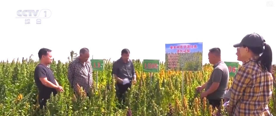 又是一年收获时!五谷丰登、瓜果飘香、鱼虾满舱……丰收画卷徐徐铺展 又是一年收获时!五谷丰登、瓜果飘香、鱼虾满舱……丰收画卷徐徐铺展