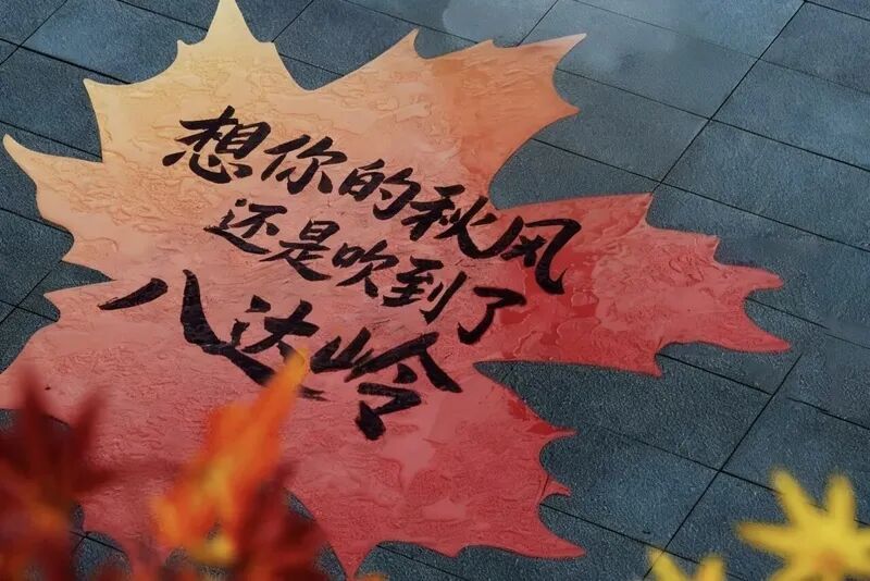 京张体育文化旅游带推出40个网红打卡地