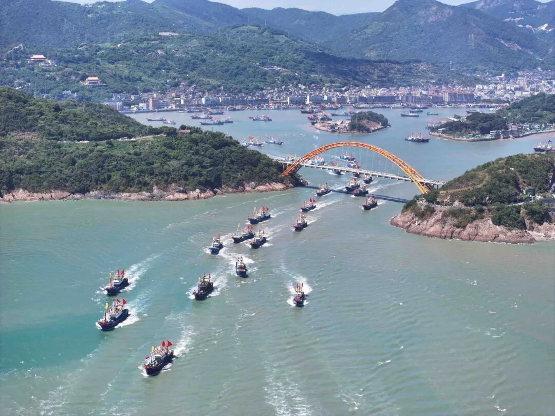 东海全面开渔！透骨新鲜的海鲜在路上了