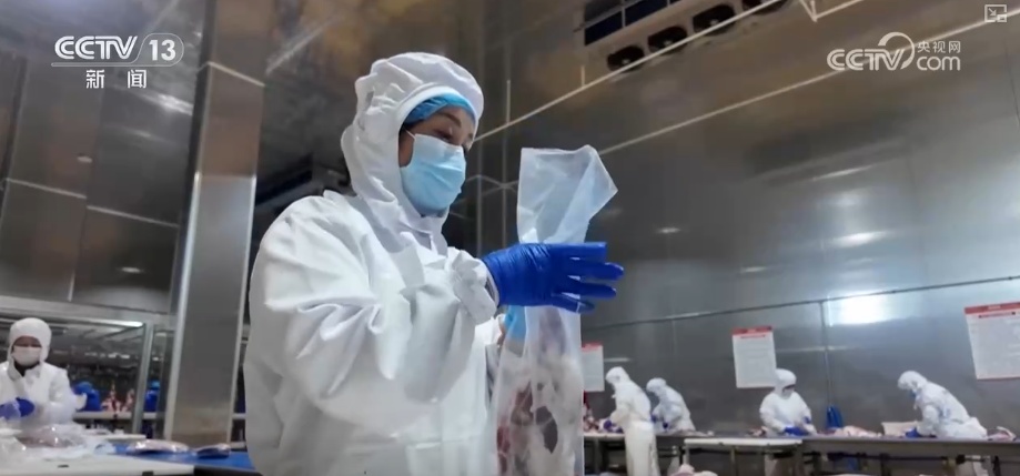 19.4亿亩、1.75亿吨、7358万吨……“数”说百姓吃得更好、更健康 19.4亿亩、1.75亿吨、7358万吨……“数”说百姓吃得更好、更健康