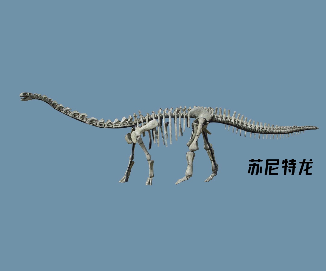 什么？恐龙并没有灭绝？！