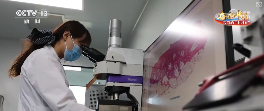 丰收在望!“沃野粮仓”科技“唱主角” 知天而作智慧农业跑出“加速度” 丰收在望!“沃野粮仓”科技“唱主角” 知天而作智慧农业跑出“加速度”