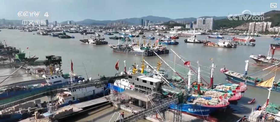 千舟竞发争 “鲜”！东海全面开渔 壮观场面喜迎丰收季