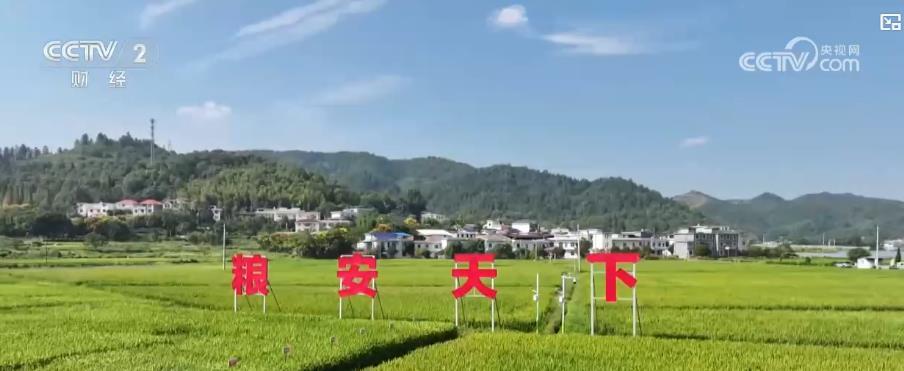 智慧农业显身手 秋粮增产有“科技”