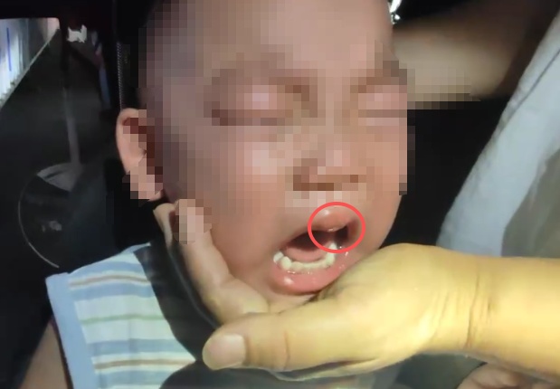 不喷水改“咬人”,这只“鸭子”让萌娃当街痛哭! 不喷水改“咬人”,这只“鸭子”让萌娃当街痛哭!