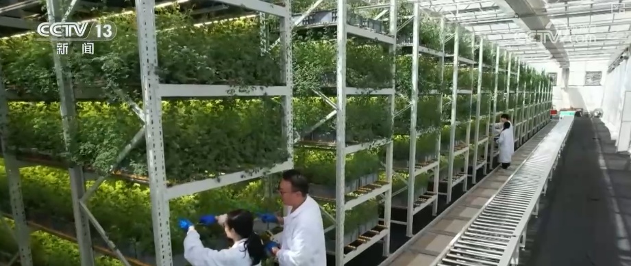 19.4亿亩、1.75亿吨、7358万吨……“数”说百姓吃得更好、更健康 19.4亿亩、1.75亿吨、7358万吨……“数”说百姓吃得更好、更健康