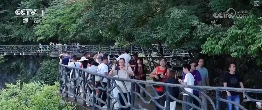 高效迎客，常来常往！跨境游客纷至沓来 “游”“购”“娱”畅通无阻
