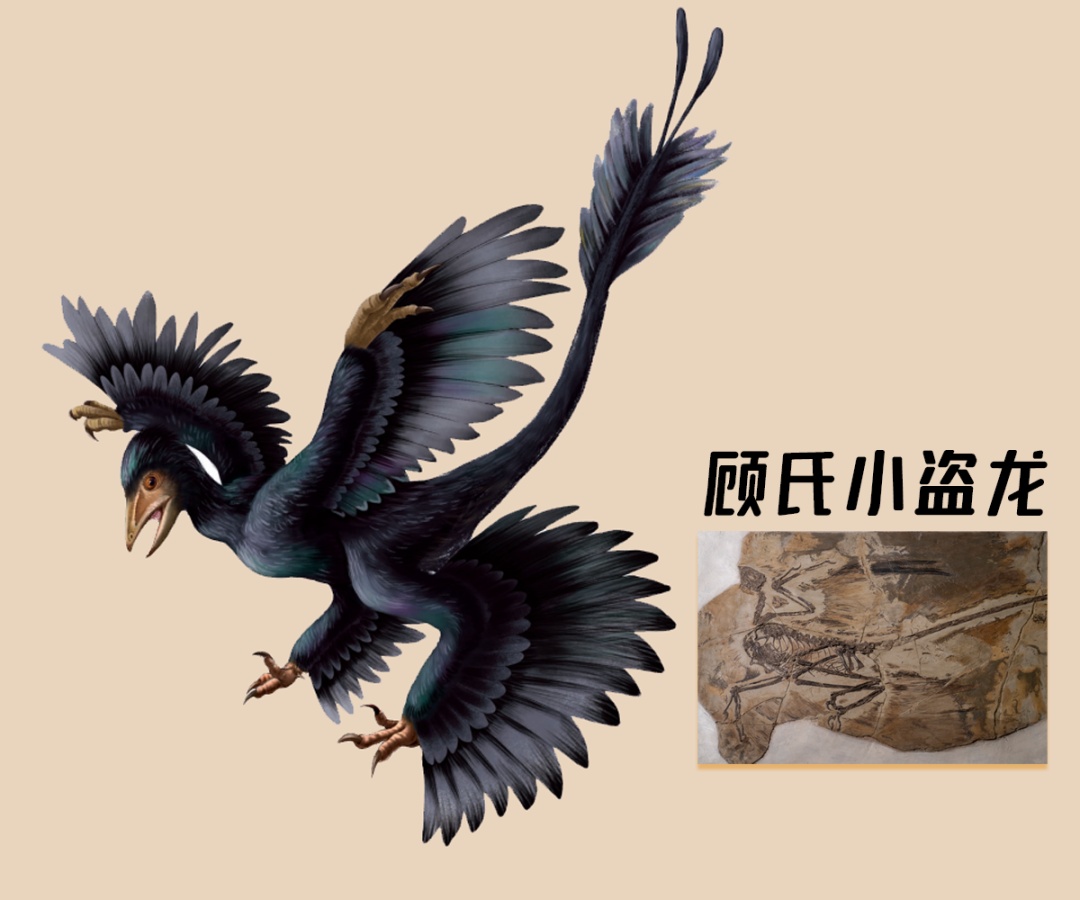 什么？恐龙并没有灭绝？！