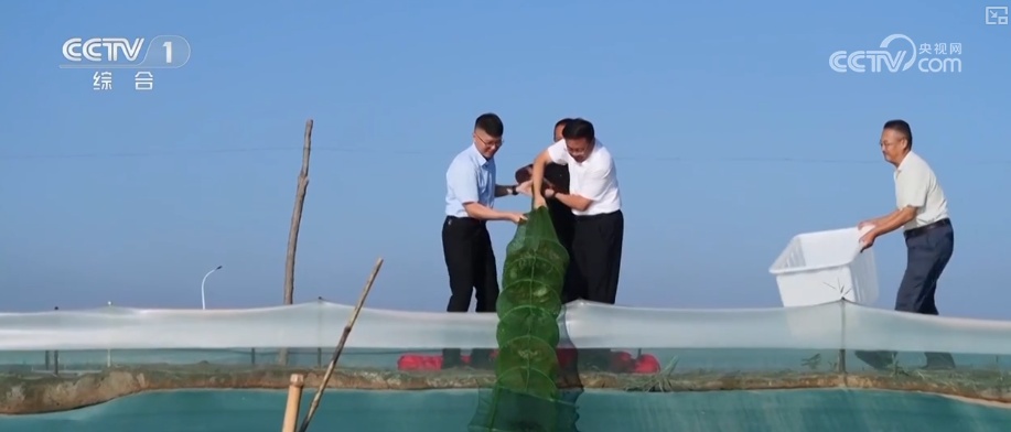 又是一年收获时!五谷丰登、瓜果飘香、鱼虾满舱……丰收画卷徐徐铺展 又是一年收获时!五谷丰登、瓜果飘香、鱼虾满舱……丰收画卷徐徐铺展