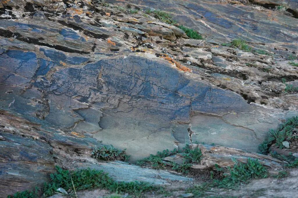 秦始皇派人去昆仑采药？专家解读来了→