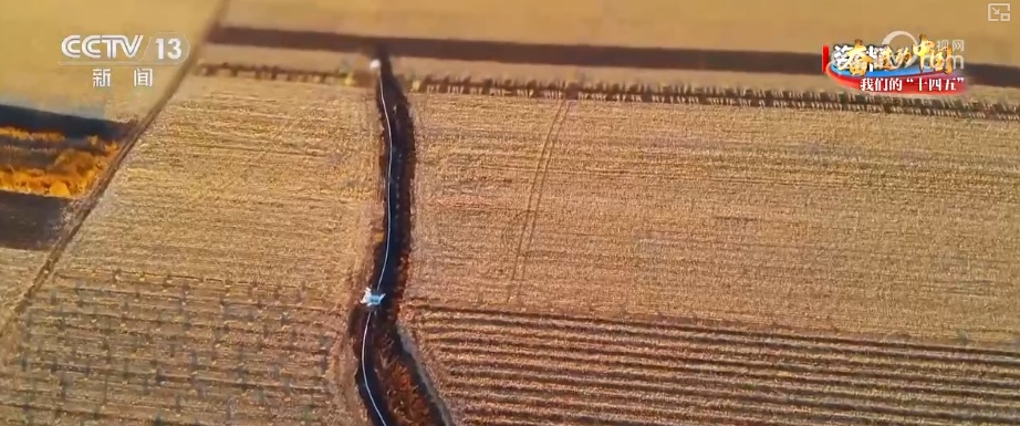 丰收在望!“沃野粮仓”科技“唱主角” 知天而作智慧农业跑出“加速度” 丰收在望!“沃野粮仓”科技“唱主角” 知天而作智慧农业跑出“加速度”