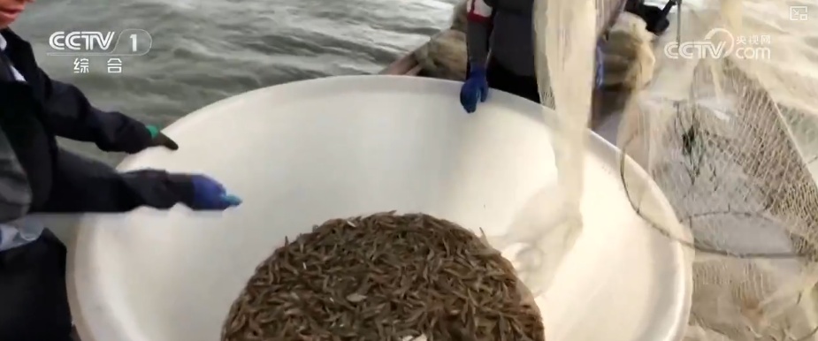 又是一年收获时!五谷丰登、瓜果飘香、鱼虾满舱……丰收画卷徐徐铺展 又是一年收获时!五谷丰登、瓜果飘香、鱼虾满舱……丰收画卷徐徐铺展