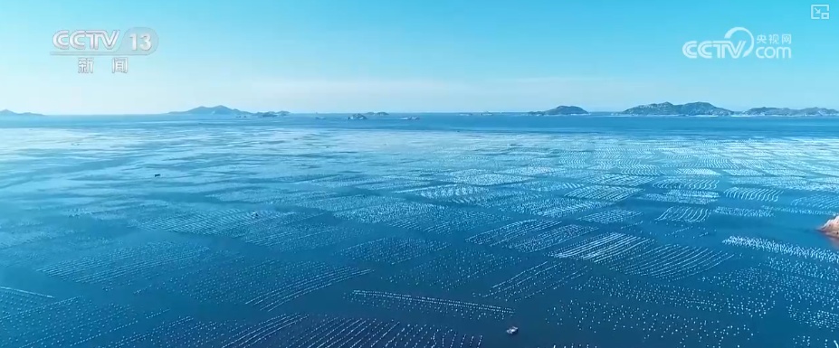 19.4亿亩、1.75亿吨、7358万吨……“数”说百姓吃得更好、更健康 19.4亿亩、1.75亿吨、7358万吨……“数”说百姓吃得更好、更健康